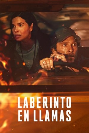Descargar Laberinto en llamas Torrent