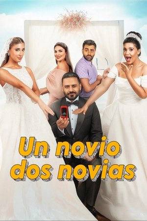Descargar Un novio, dos novias Torrent