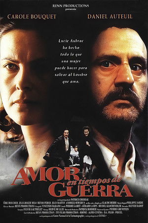 Descargar Amor en tiempos de guerra Torrent