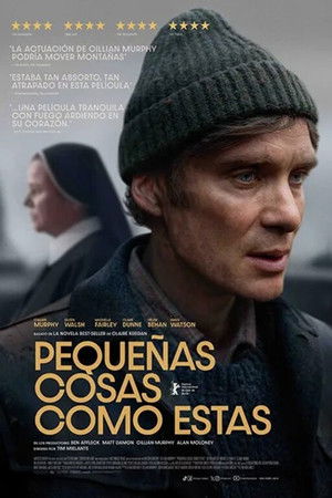 Descargar Cosas pequeñas como estas Torrent