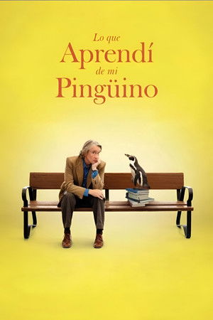 Descargar Lo que aprendí de mi pingüino Torrent