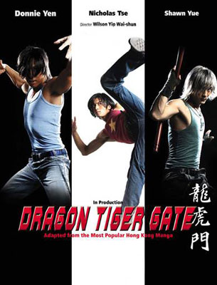 Descargar Dragón Tiger Gate Torrent