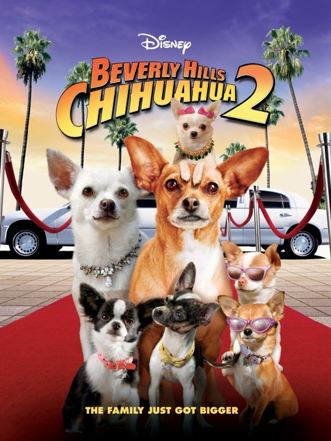 Descargar Un Chihuahua En Beverly Hills 2 Torrent