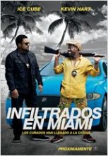 Descargar Infiltrados En Miami Torrent