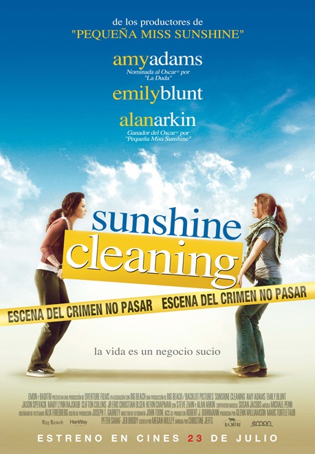 Descargar Shunsine Cleaning Torrent