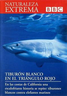 Descargar Naturaleza Extrema DVD9 -Tiburón Blanco En El Triángulo Rojo Torrent