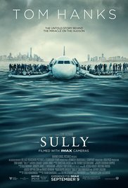 Descargar Sully Torrent