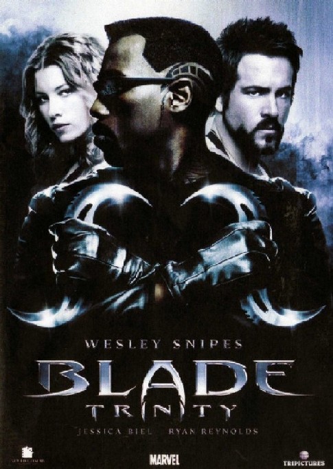 Descargar Trilogia Blade – Blade Trinity Torrent