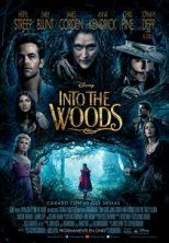 Descargar Into The Woods Torrent