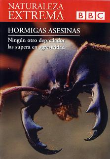 Descargar Naturaleza Extrema DVD4 -Hormigas Asesinas Torrent