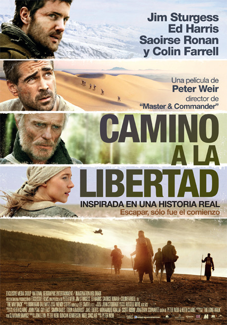 Descargar Camino A La Libertad Torrent