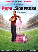 Descargar Papá Por Sorpresa Torrent