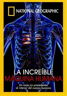 Descargar La Increíble Máquina Humana Torrent