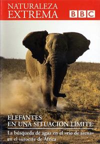 Descargar Naturaleza Extrema DVD6 – Elefantes En Una Situación Límite Torrent