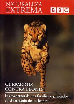 Descargar Naturaleza Extrema DVD8 -Guepardos Contra Leones Torrent