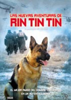 Descargar Las Nuevas Aventuras De Rin Tin Tin Torrent