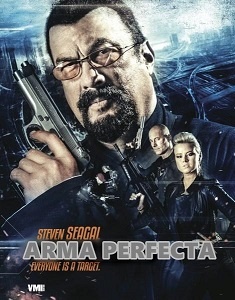 Descargar Arma Perfecta Torrent