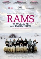 Descargar Rams: El Valle De Los Carneros Torrent