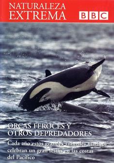 Descargar Naturaleza Extrema DVD10 -Orcas Feroces Y Otros Depredadores Torrent
