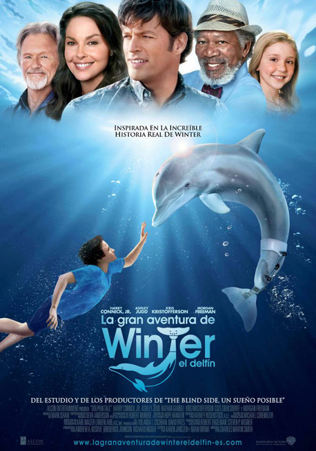 Descargar La Gran Aventura De Winter El Delfín Torrent