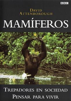 Descargar Mamíferos -DVD5 Torrent